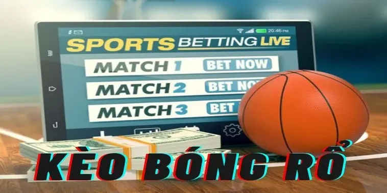 Tìm Hiểu Cá Cược Bóng Rổ 789WIN: Hành Trình Giải Trí Đỉnh Cao