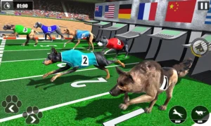 Hướng Dẫn Cách Chơi Game Nhanh Đua Chó Tại 789WIN Hiệu Quả Nhất