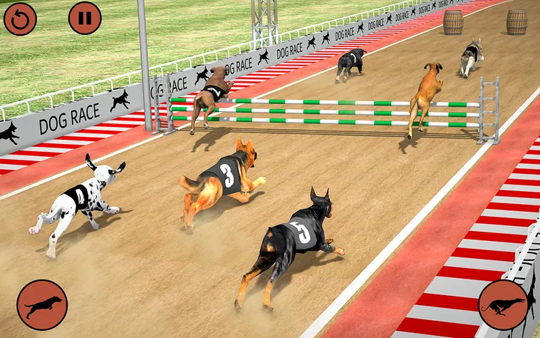 Hướng Dẫn Cách Chơi Game Nhanh Đua Chó Tại 789WIN Hiệu Quả Nhất