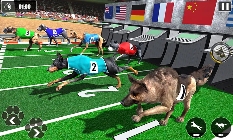 Hướng Dẫn Cách Chơi Game Nhanh Đua Chó Tại 789WIN Hiệu Quả Nhất